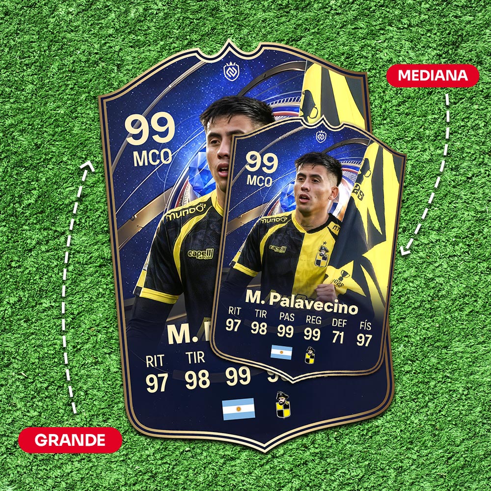 Matías Palavecino TOTY