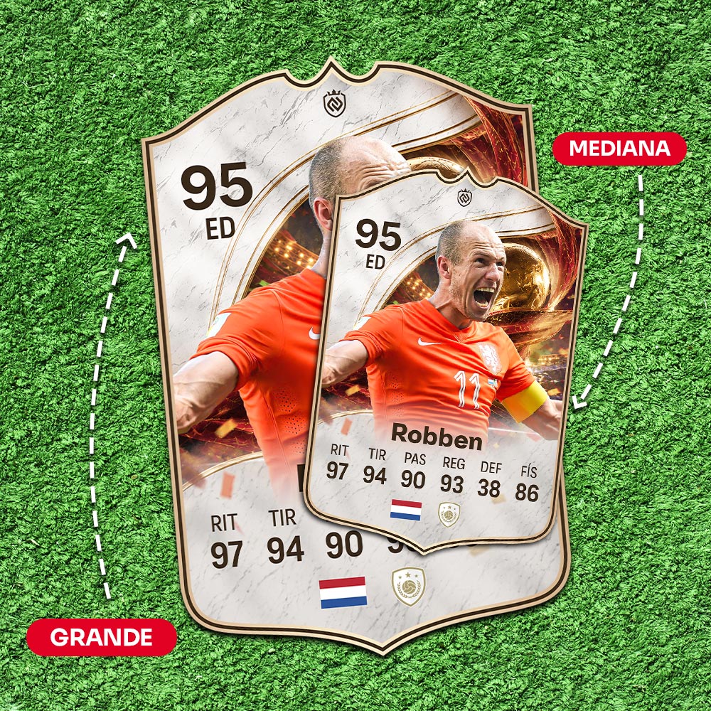 Arjen Robben - Brasil 2014