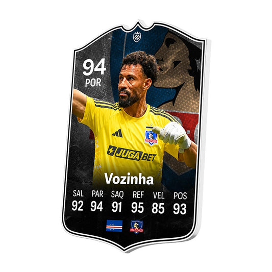 Vozinha Colo-Colo