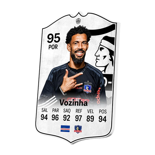 Vozinha Colo-Colo