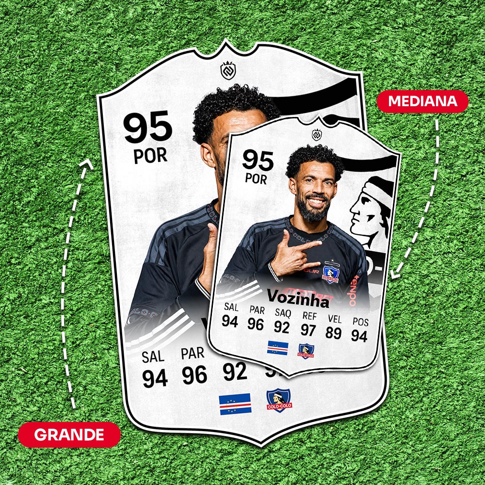 Vozinha Colo-Colo