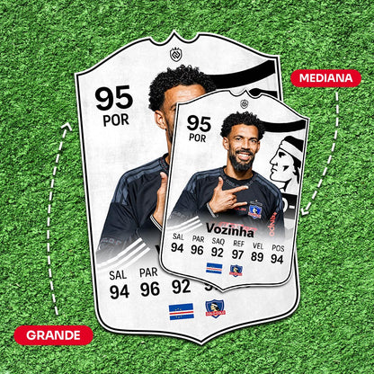 Vozinha Colo-Colo
