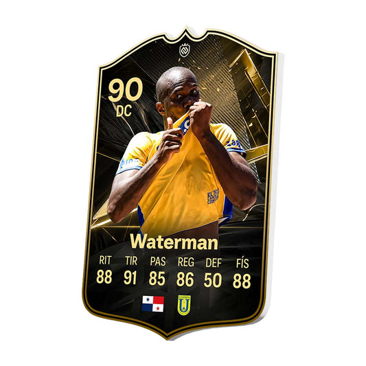 Cecilio Waterman (U. de Conce)
