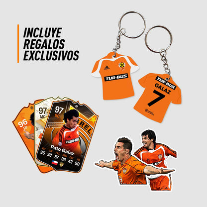 Cuadro - Cobreloa "Zorros del Desierto"